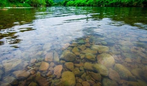 水質(zhì)檢測